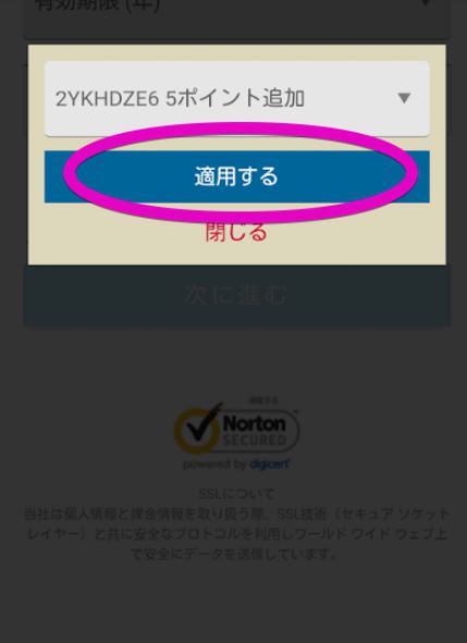 17ポイント