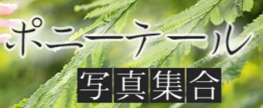 ポニーテールイベント