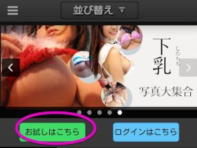 お試し