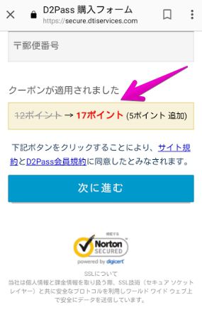 17ポイント