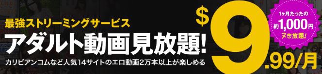 ９．９９ドル