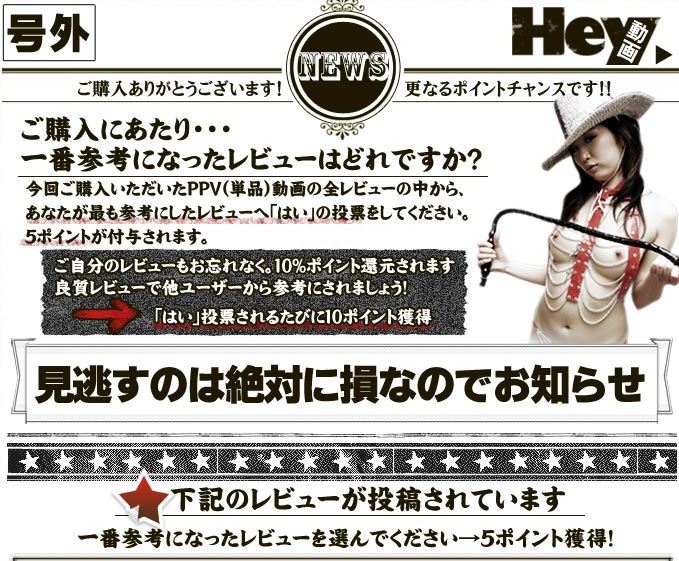 レビューについて