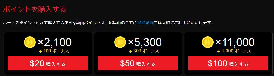 ポイント購入案内