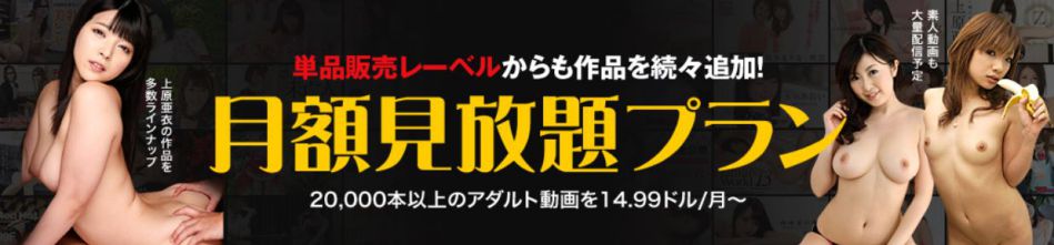 hey動画の画像