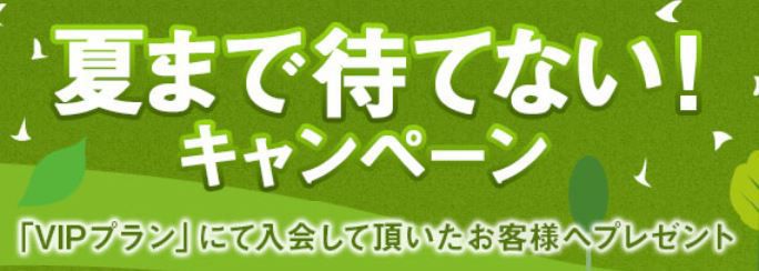 夏まで待てないキャンペーン