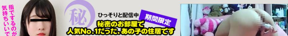 期間限定や新着情報