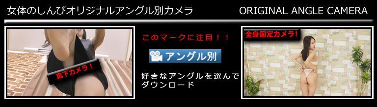 オリジナルカメラアングル