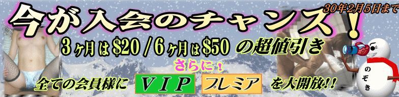 2/5までのキャンペーン