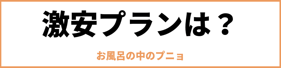 プニョの激安プランは？