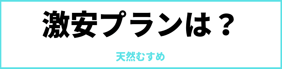 天然むすめの安いプランは？